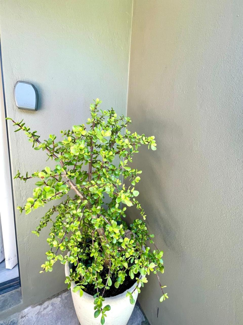 Apartmán Tehillah On Boom Bothasig Exteriér fotografie